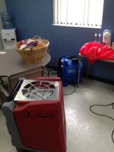 red fan in break room with blue fan