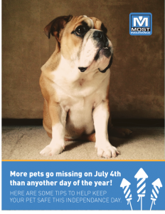 More pets go missing on July 4th than anyother day of the year Most Insurance