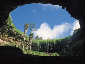 Florida Sinkhole