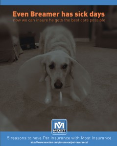 5 reasons to have Pet Insurance with Most Insurance Even Breamer has sick days