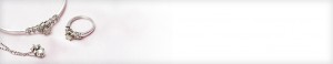 jewelry insurance florida banner