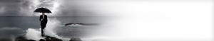 umbrella insurance tampa florida banner